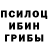 Псилоцибиновые грибы MAGIC MUSHROOMS Nik 627