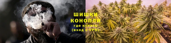 спиды Арсеньев
