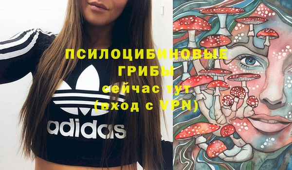 спиды Арсеньев